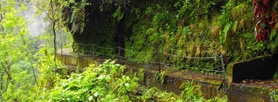 PR 16 Levada Faj do Rodrigues